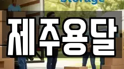 제주용달