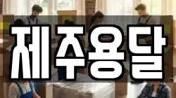 제주용달