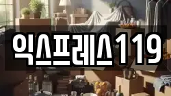 익스프레스119