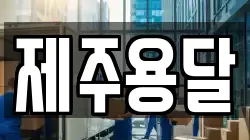 제주용달