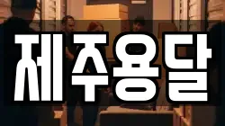 제주용달