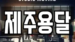 제주용달