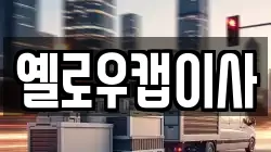 옐로우캡이사