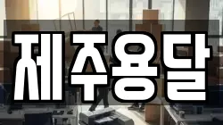 제주용달