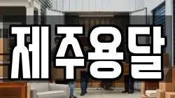 제주용달