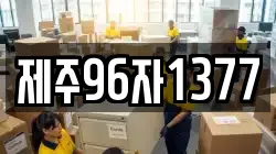 제주96자1377