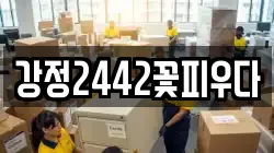강정2442꽃피우다
