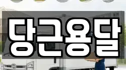 당근용달