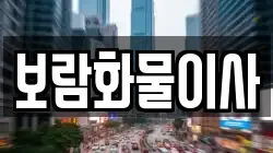보람화물이사