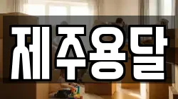 제주용달