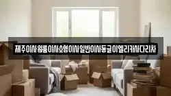 제주이사원룸이사소형이사일반이사동글이엘리카사다리차
