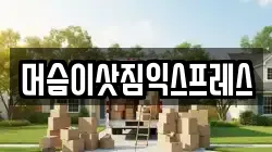 머슴이삿짐익스프레스