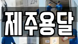 제주용달