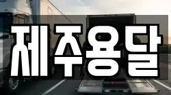제주용달