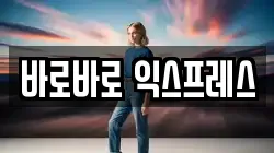 바로바로 익스프레스