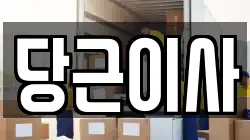 당근이사