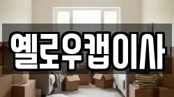 옐로우캡이사