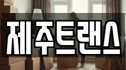 제주트랜스