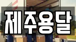제주용달