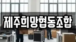 제주 제주시 조천읍 이사,포장이사,반포장이사,원룸이사,사무실이사,용달이사,전국이사,보관이사