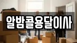 알밤콜용달이사