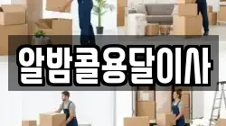 알밤콜용달이사