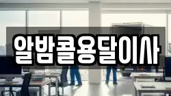 알밤콜용달이사
