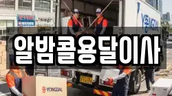 알밤콜용달이사