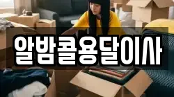 알밤콜용달이사