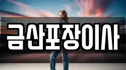 금산포장이사
