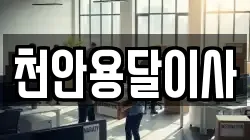 천안용달이사