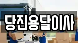 당진용달이사