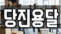 당진용달