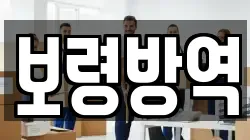 보령방역