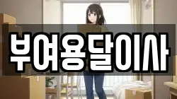 부여용달이사