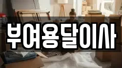 부여용달이사