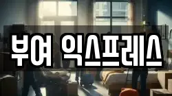 부여 익스프레스