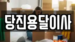당진용달이사
