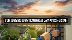 강아지파양고양이파양유기견보호소실종구조안락사없는보호센터
