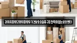 강아지파양고양이파양유기견보호소실종구조안락사없는보호센터