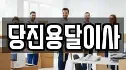 당진용달이사