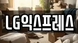 LG익스프레스
