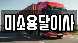 미소용달이사