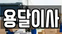 용달이사