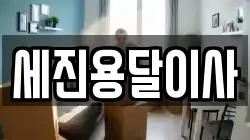 세진용달이사