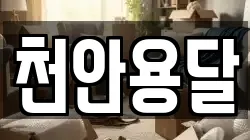 천안용달