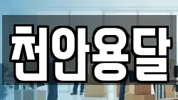 천안용달
