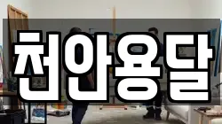 충남 천안시 동남구 동면 이사,포장이사,반포장이사,원룸이사,사무실이사,용달이사,전국이사,보관이사