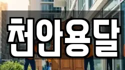 천안용달