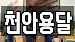 천안용달